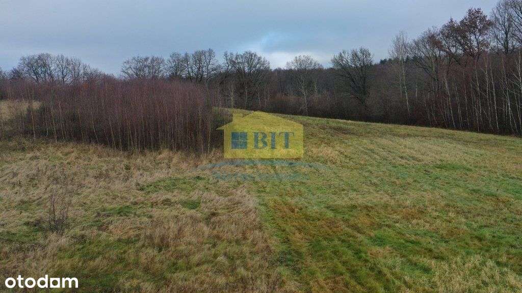 Działka 1,1041 ha nad jeziorem Ostrowiec-14