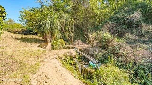 Quinta Exclusiva em Abação – Refúgio com 14.000 m²-27