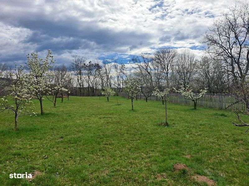 Intravilan construibil in comuna Brebu, sat Podu Cheii, judet Prahova - Imagine principală: 4/7