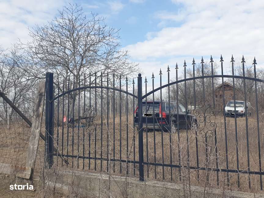 Teren intravilan IASI - COPOU - VITICULTORI -  in vecinatatea padurii-18