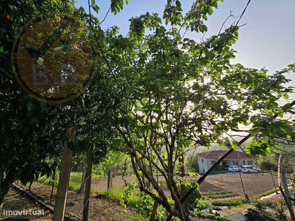 Moradia T4, em pedra, com terreno de 2.366 m² e Espigueiro datado d...-44