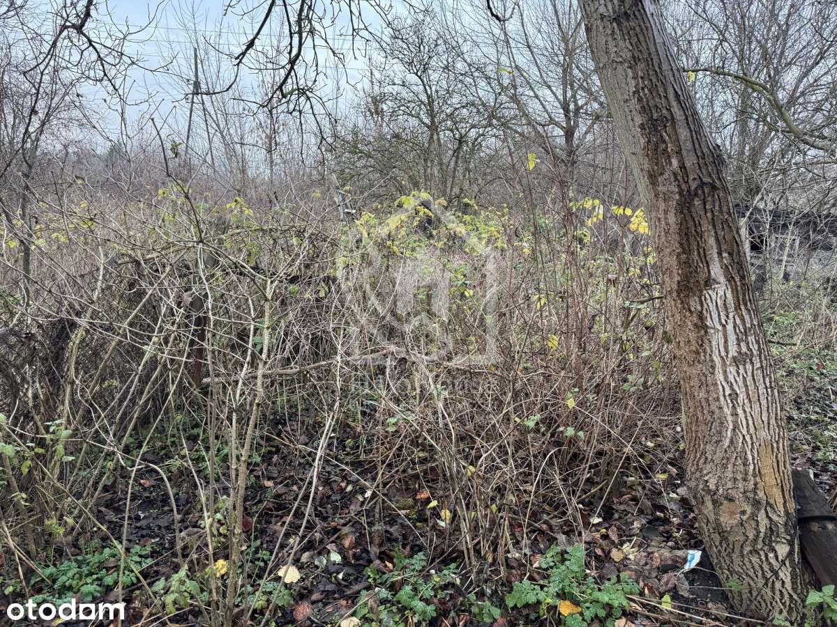 Dom do kapitalnego remontu | Duża działka |-11