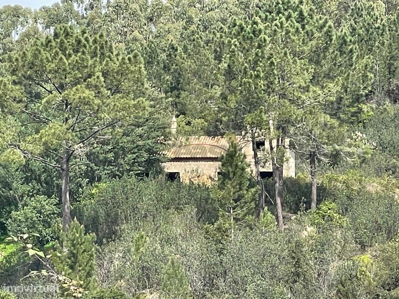 Terreno com construção a 10 min do Autódromo Internacional do Algarve - Grande imagem: 4/11