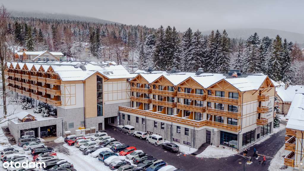 Platinum Mountain - zarabiający rocznie 36 912 zł-3