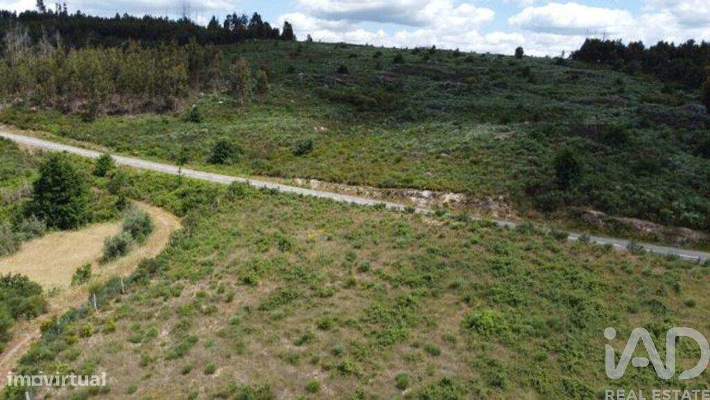 Terreno em Seixo da Beira de 48000,00 m2 - Grande imagem: 4/26