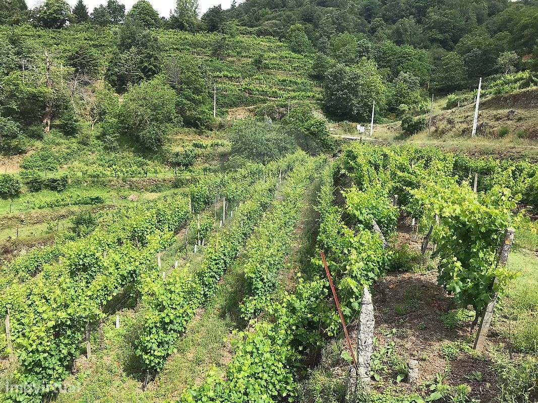 Terreno  para venda - Grande imagem: 5/13