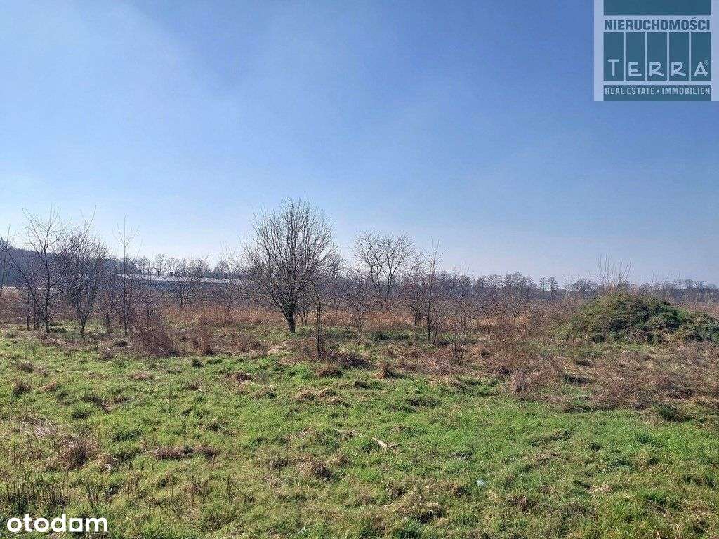 Działka Budowlana W Ochli - Pełny obrazek: 4/5