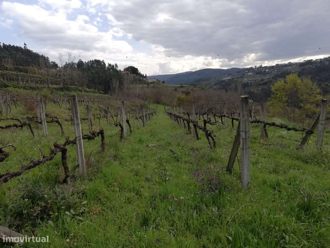Terreno  Venda em Souselo,Cinfães - Grande imagem: 2/14