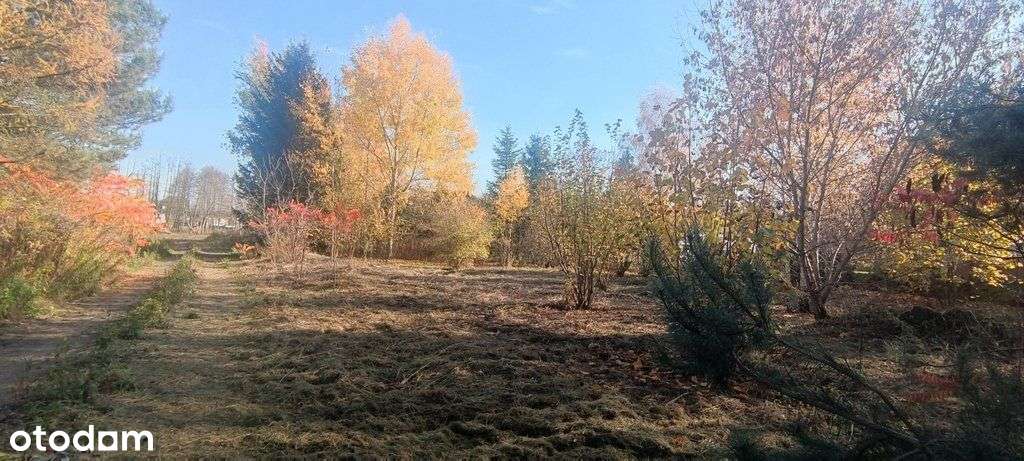 Koczargi Stare-zab. jednorodzinna lub bliźniacza.-3