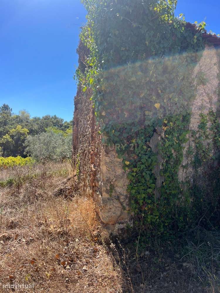Oportunidade Única – Ruína com Terreno Amplo em Maçãs de Maria - Grande imagem: 3/7