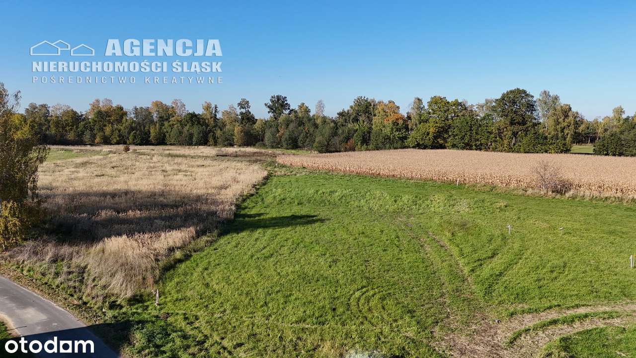 Działki budowlane w otoczeniu terenów zieleni-9