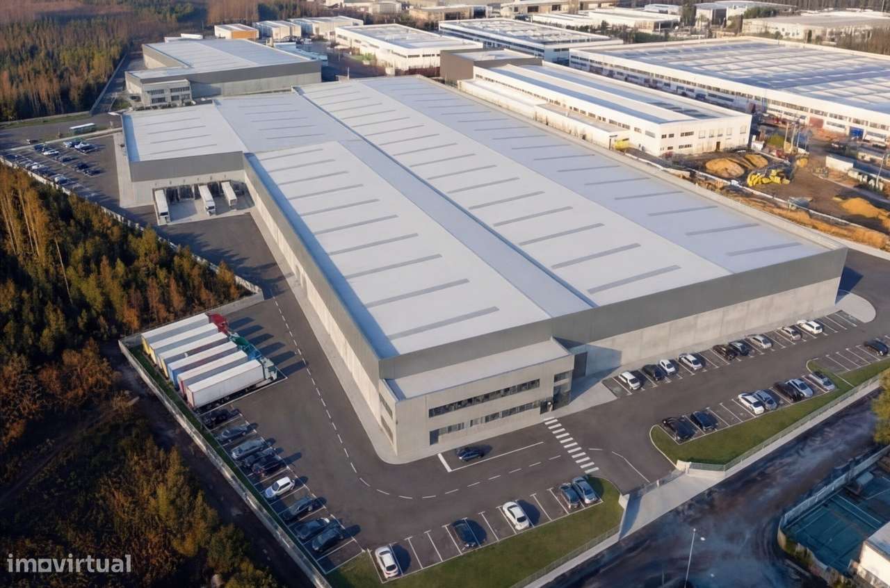 Terreno Industrial para Venda – Zona Industrial de Albergaria-a-Velha-3