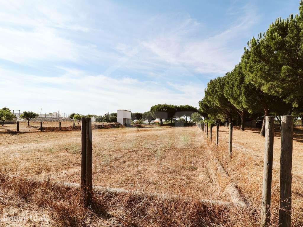 Quinta T5 na Branca-49