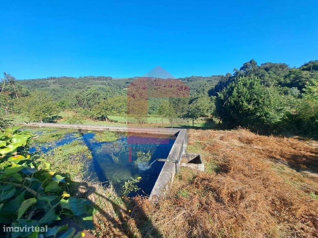 Terreno agrícola, Duas Igrejas - Grande imagem: 4/16
