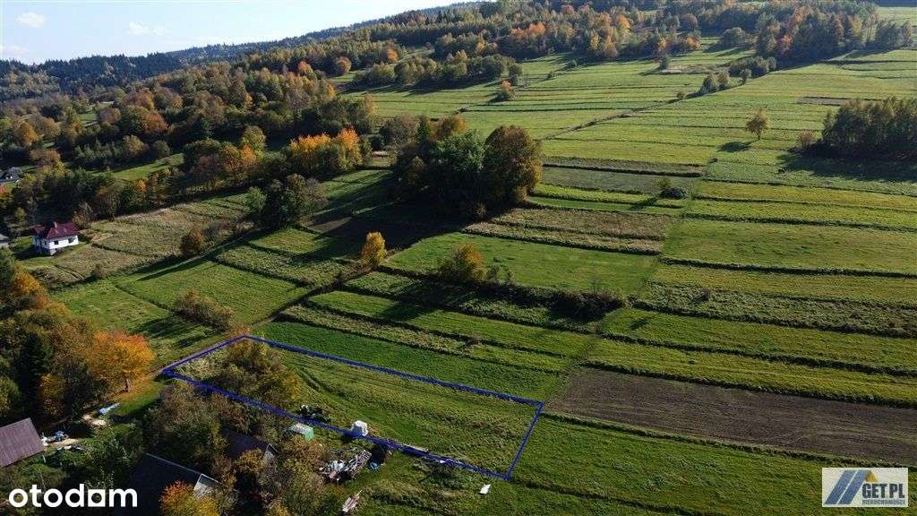 14 a budowlane + 14800 m2 lasów Skomielna Czarna - Pełny obrazek: 5/8