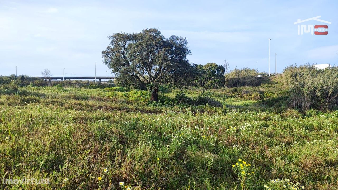 Terreno à venda no Montijo c/ 3560m2