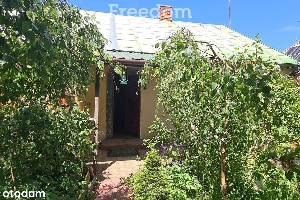 Siedlisko na wsi - Pełny obrazek: 4/20