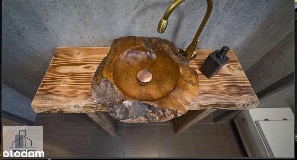 Dom gościnny w Bieszczadach - działający biznes,21-3