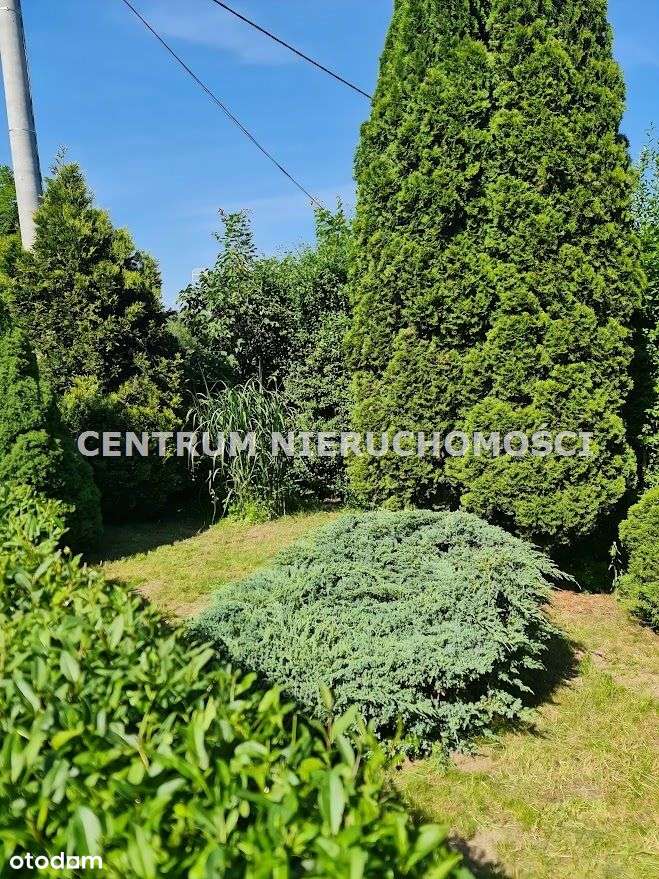 KLIMATYCZNE,PONADCZASOWE Z DUŻYM TARASEM WŚRÓD ZIELENI!!!-10