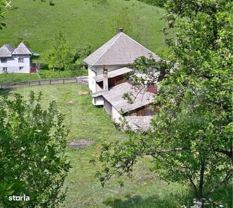 Casa individuala cu 3 camere, 217 mp utili,2000 mp teren,Intregalde - Imagine principală: 3/9