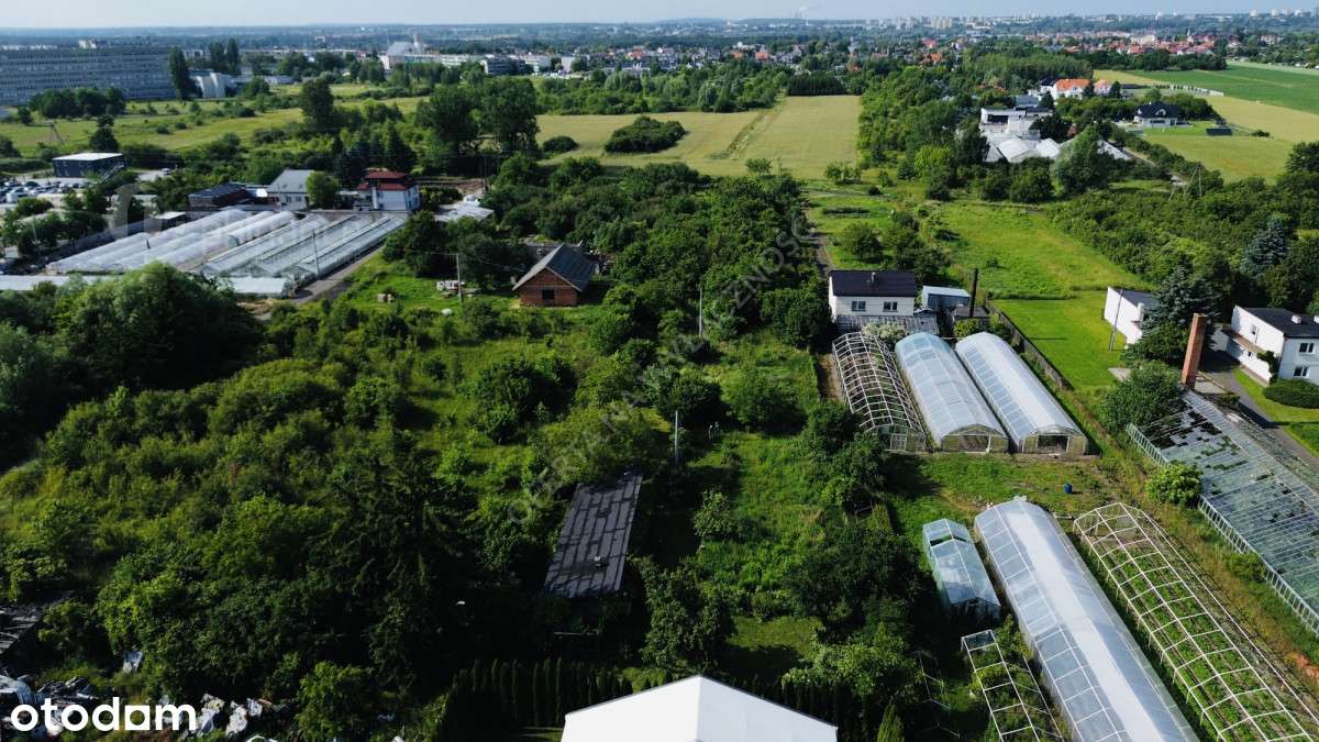 Sprzedam działkę 57 ar – Konin, Pawłówek - Pełny obrazek: 2/13