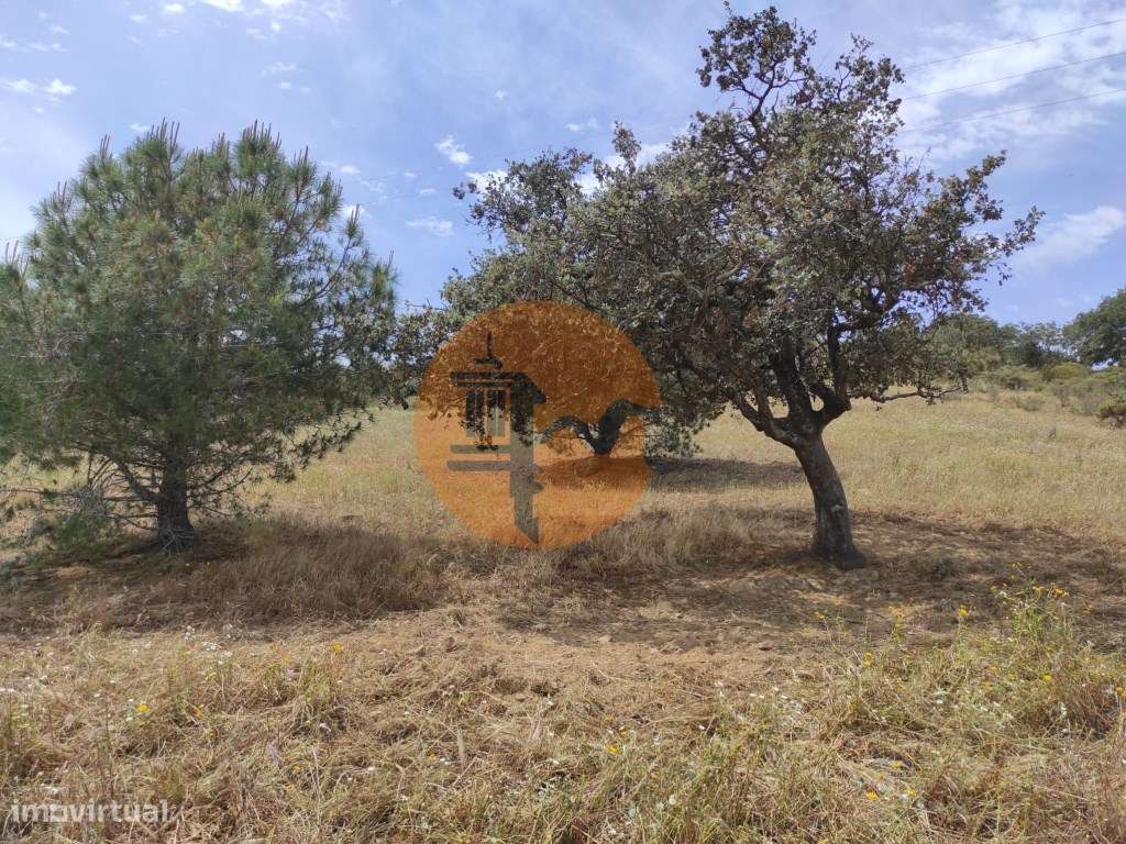 TERRENO RÚSTICO COM 6.960 M2 - RIO SECO - CASTRO MARIM - ALGARVE - Grande imagem: 3/26