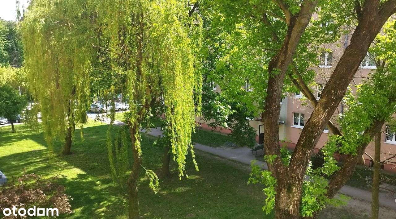 Mieszkanie w centrum 2 pokoje, 2 piętro !!-11