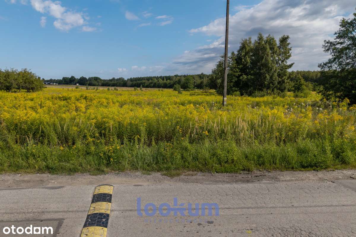 Duża działka pod inwestycję deweloperską  – Widzew-6