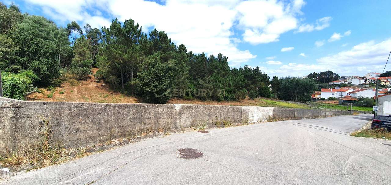 Terreno 5747 m2 I Fala - São Martinho do Bispo I Viabilidade Construçã - Grande imagem: 4/17