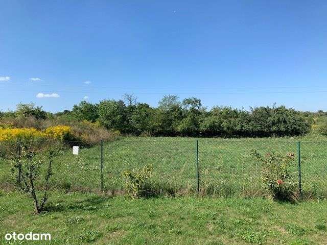 Morasko,działka 2283m2, dom parterowy.-11