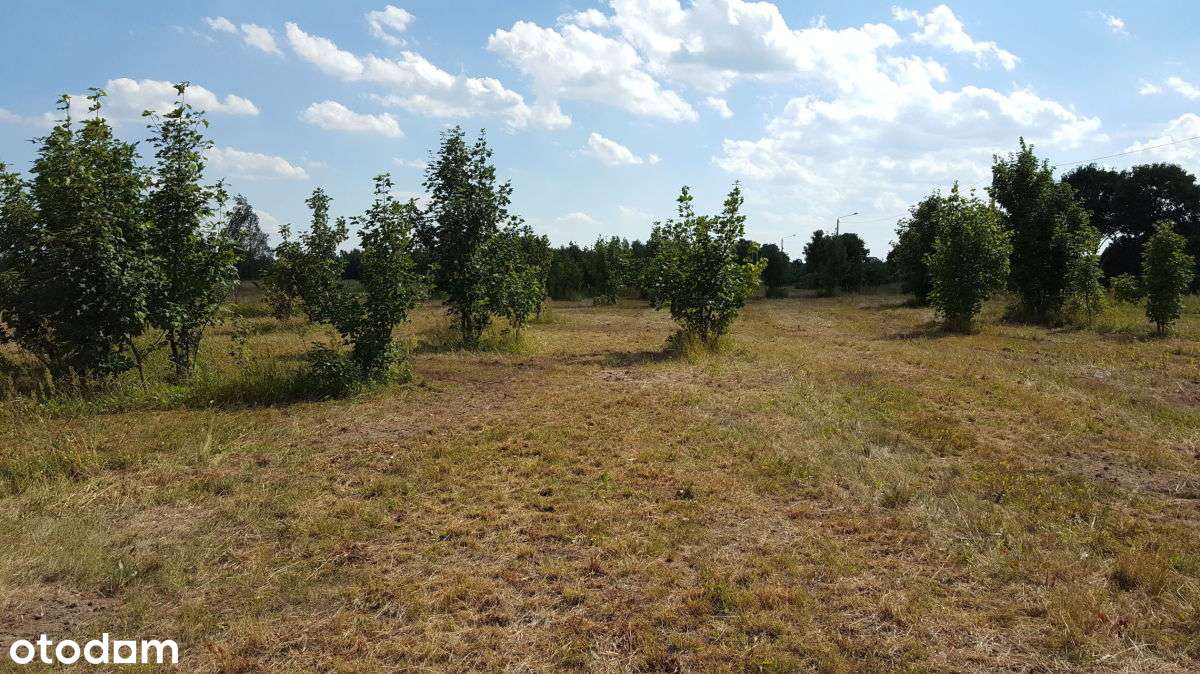 Szczytkowice/bez prowizji - Pełny obrazek: 4/4