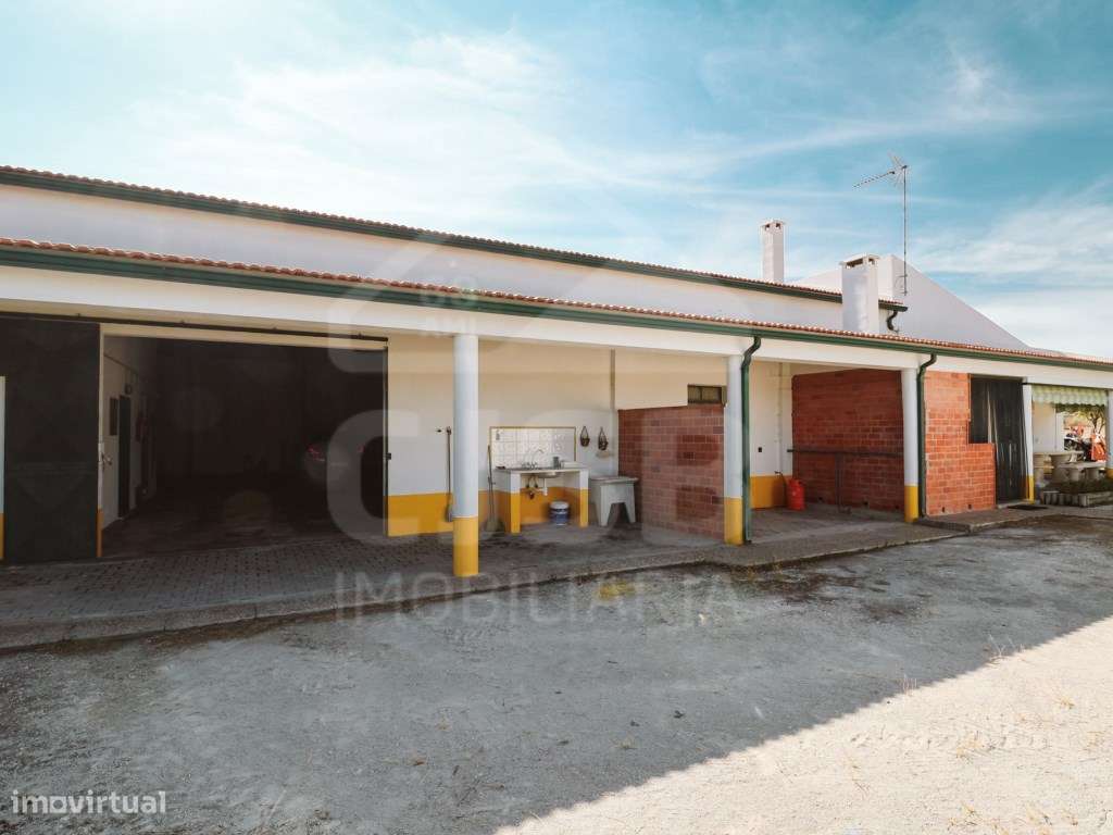 Quinta T5 na Branca-7