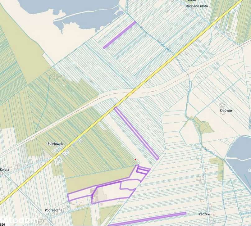 Duże gospodarstwo hodowli bydła PRZETARG-3