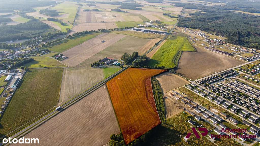 MPZP - produkcja i usługi, dobry dojazd Pzń/Środa - Pełny obrazek: 4/15