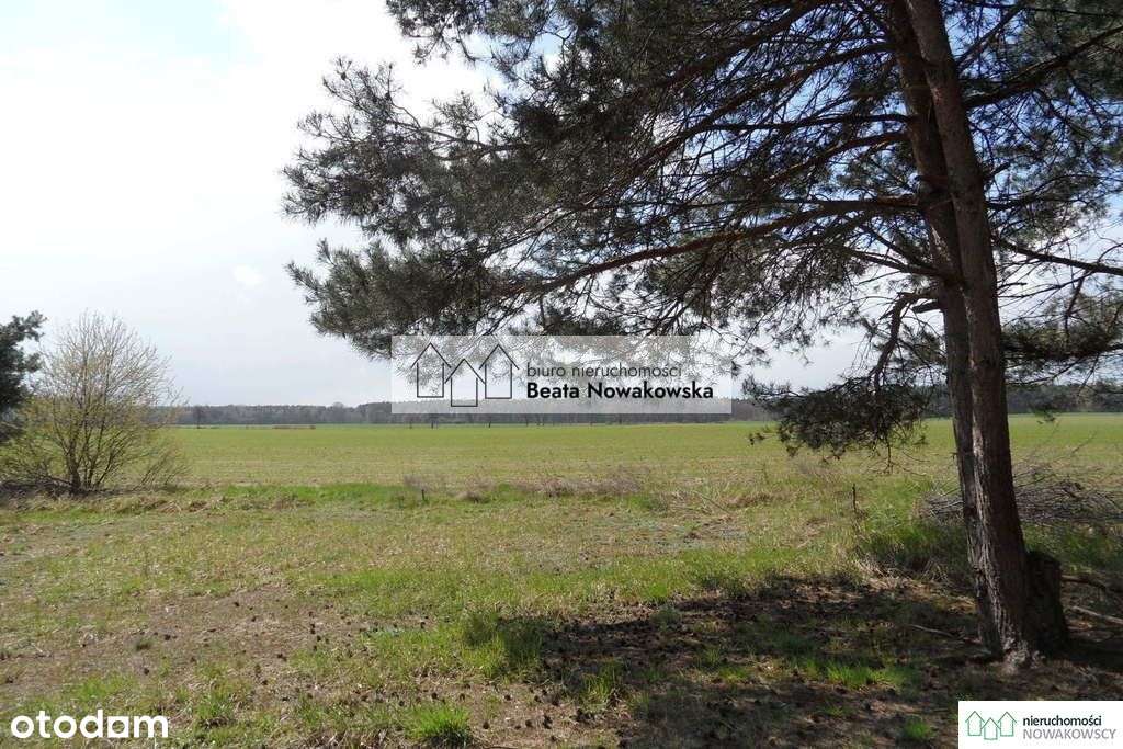 Działka, 11 778 m², Lipówka - Pełny obrazek: 4/12