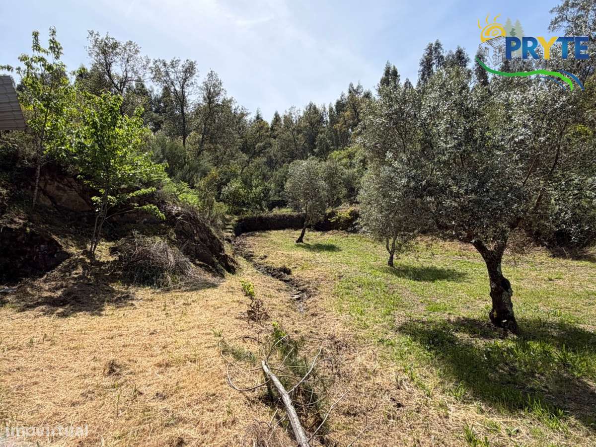 Terreno com uma ruína não registada a 6 quilómetros da Sertã-30