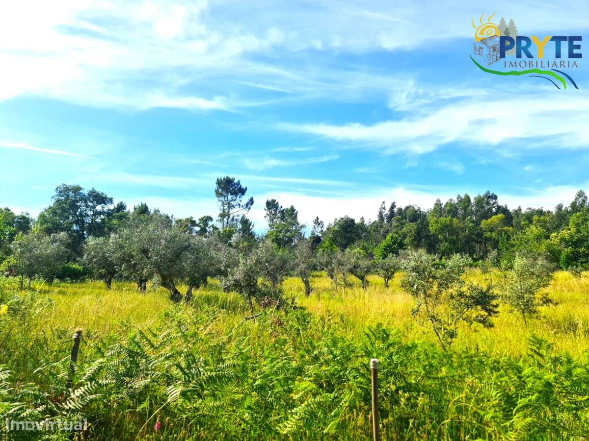 Quintinha agrícola situada Casalinho/Tapada-22