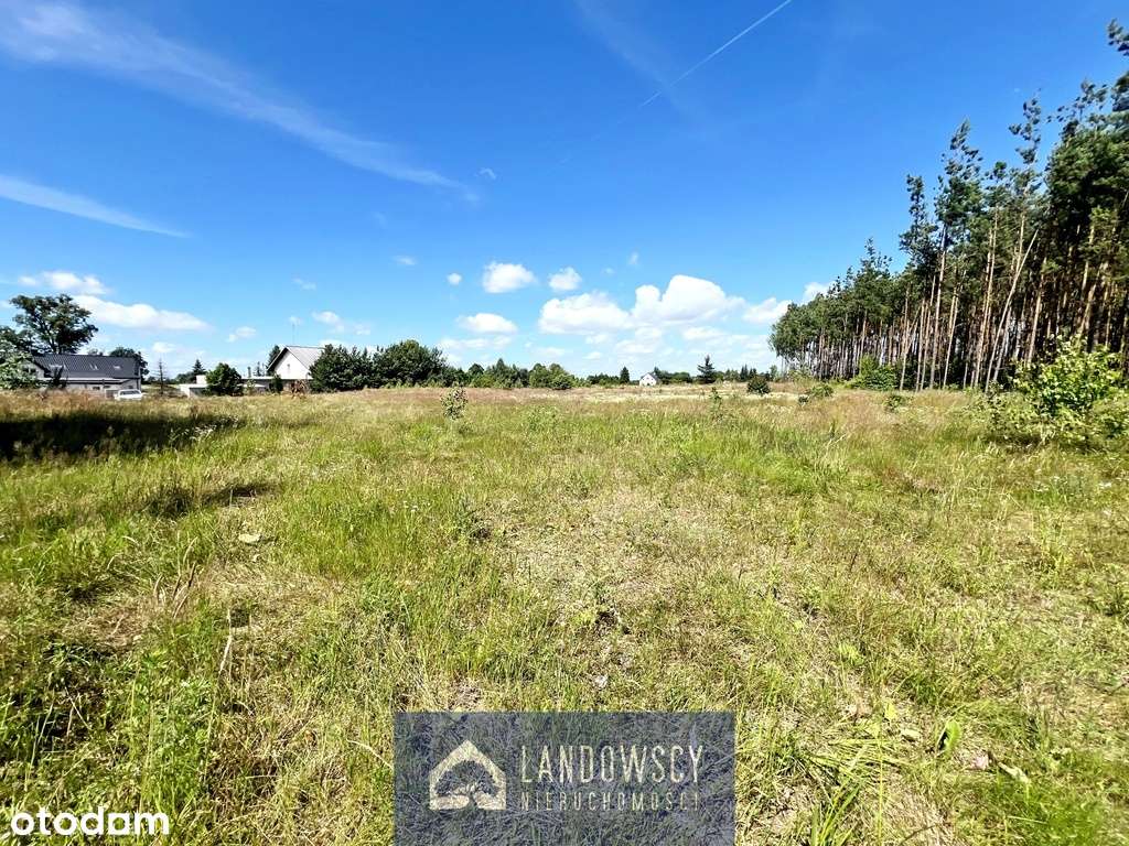 Działka w Bytoni-przy głównej drodze, pod lasem! - Pełny obrazek: 5/15