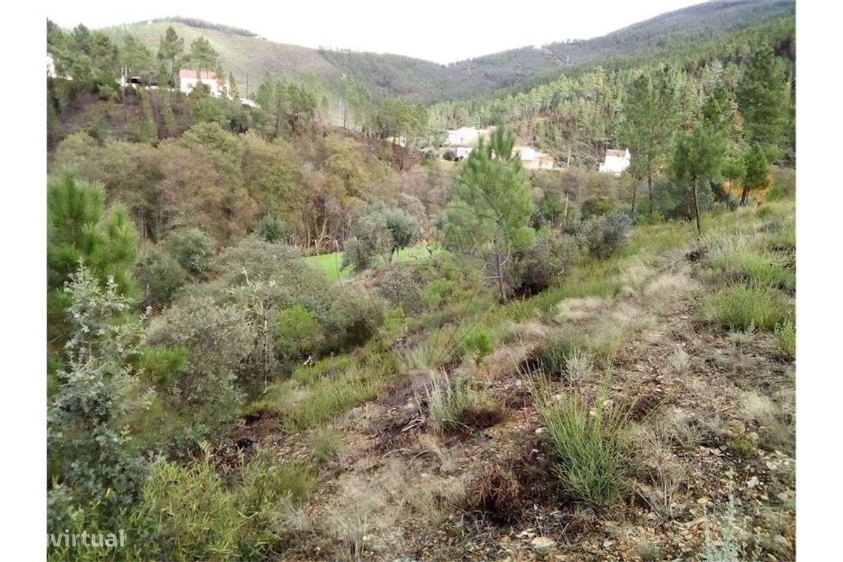 Quinta T0 para venda - Grande imagem: 2/9