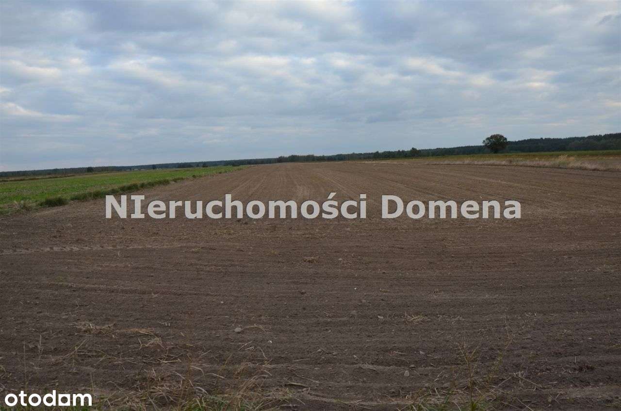 Dom, 104 m², Wielka Wola-9