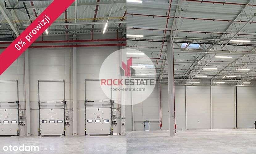 Magazyn 2893 m2 w Rzeszowie - 0% prowizji - Pełny obrazek: 4/5