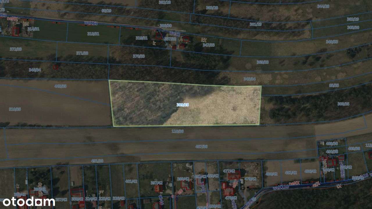 Rybnik - Malownicza działka leśna na sprzedaż-9