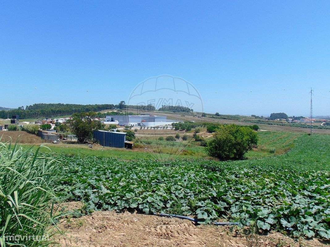 Terreno  para venda - Grande imagem: 5/6