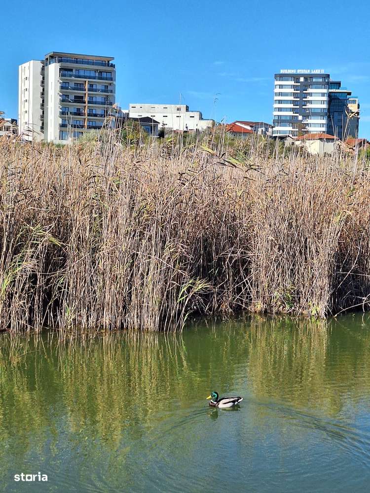 Mamaia, Scoica Land, 2 camere, 59 mp, la gata, gaze, 90.000 Euro-19