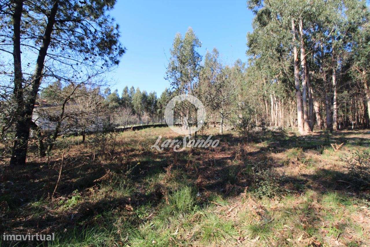 Terreno para construção com 5.000m2 em Vermoim - Grande imagem: 2/6