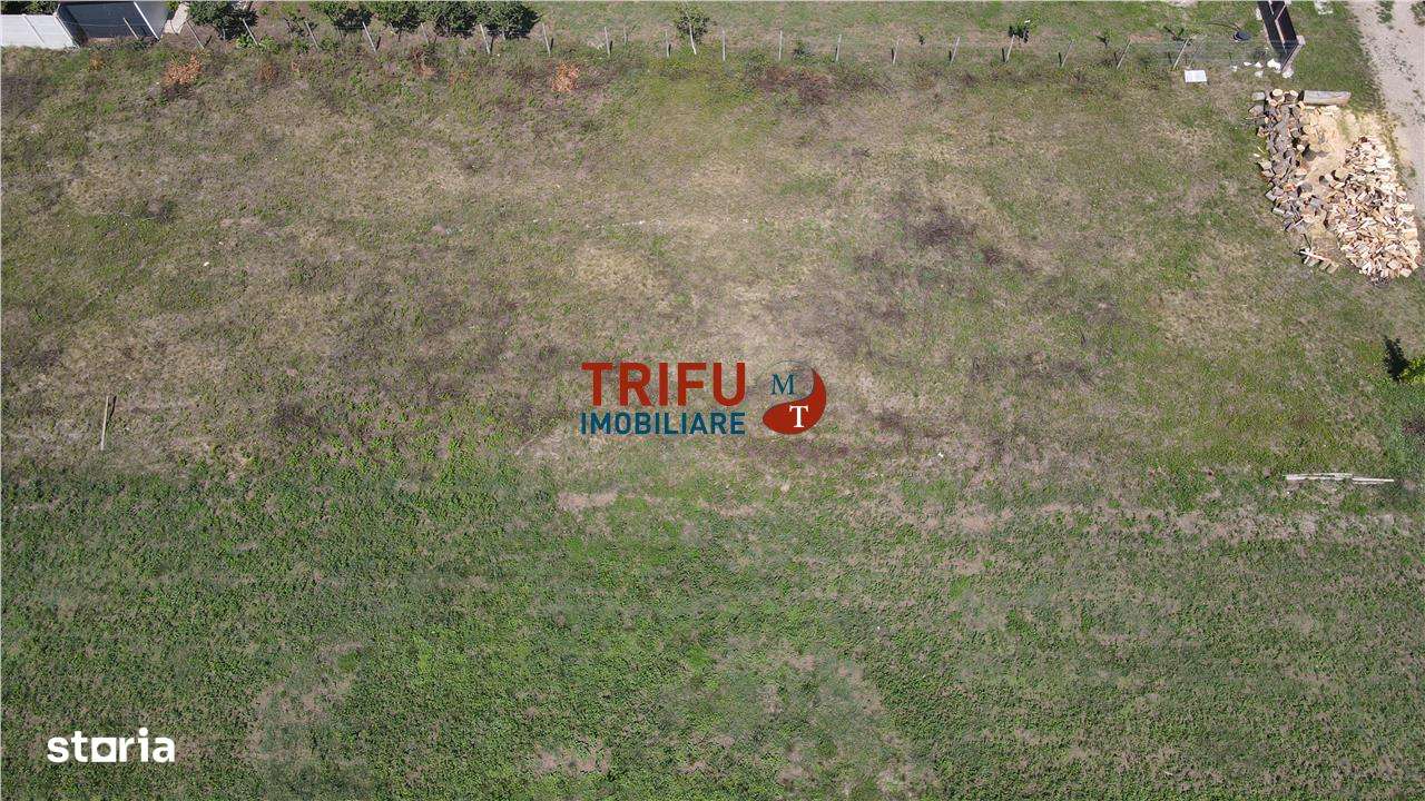 Teren de vanzare Alba Micesti, 1200 mp - Imagine principală: 5/7