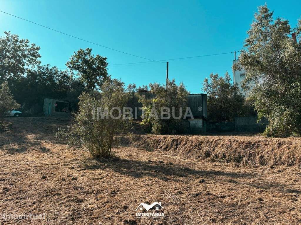 Terreno rústico de 8000 m2 com viabilidade de construção a cerca de...-19