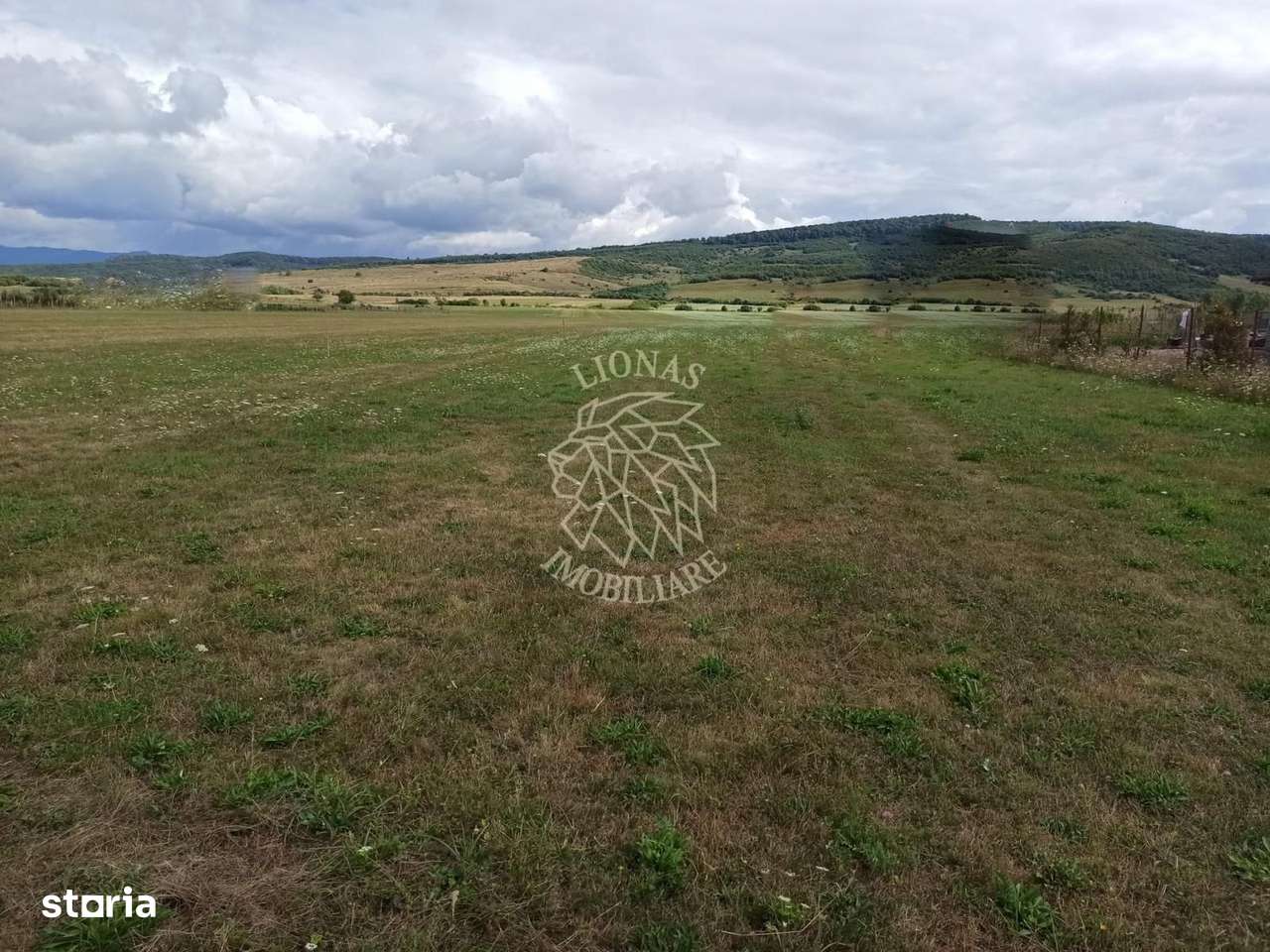 Teren intravilan 5217 mp cu utilitati-ideal case-Livezile - Imagine principală: 3/3