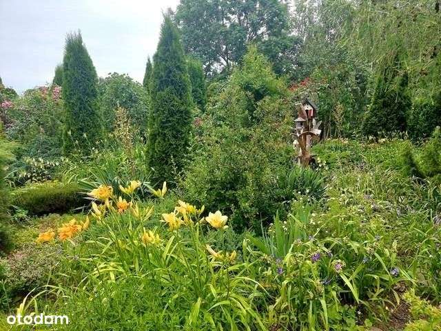 Dom, 128 m², Piątek-8