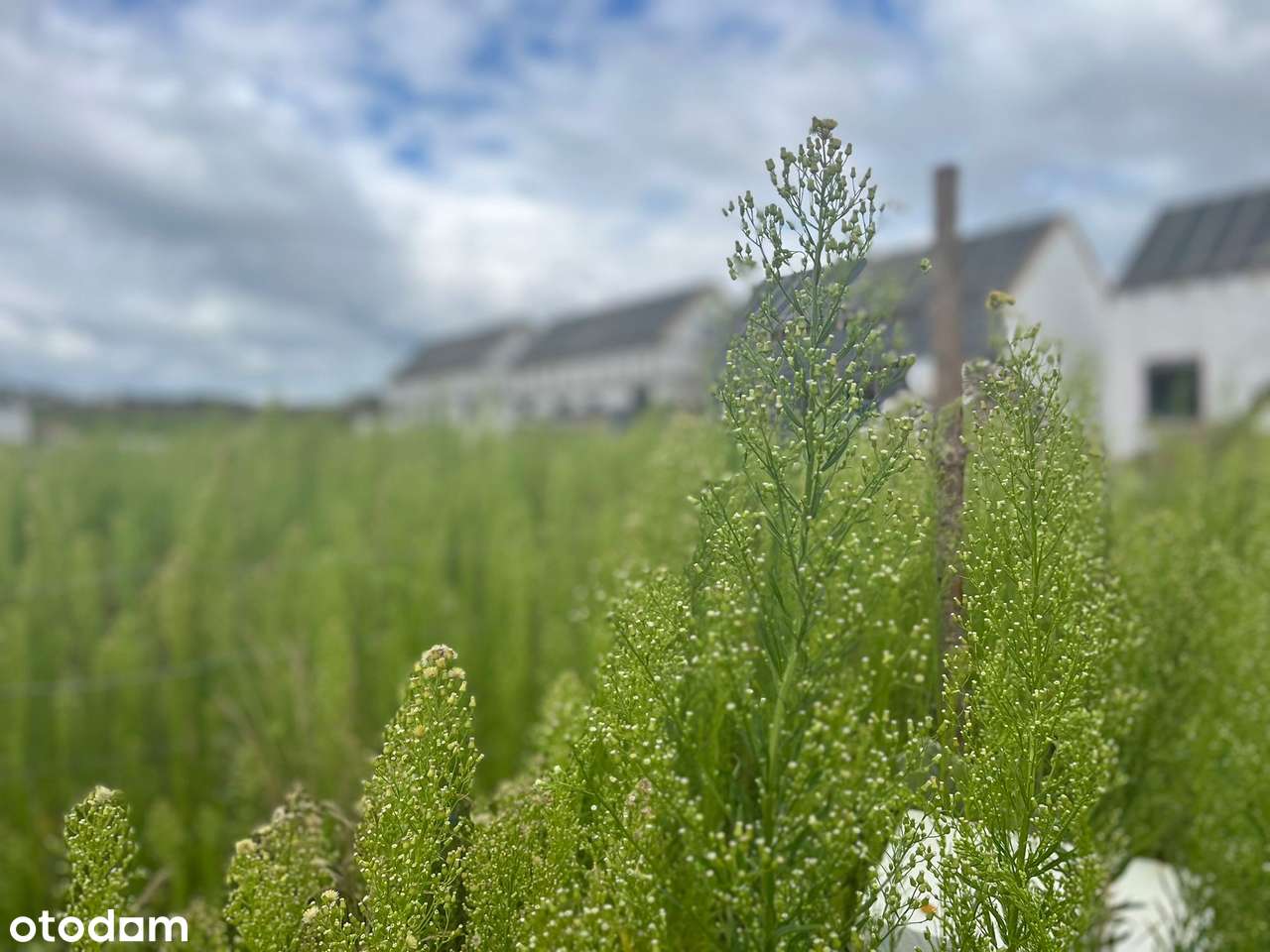 Sprzedam DOM w cenie Mieszkania Deweloperski z Prywatnym Ogrodem !-5